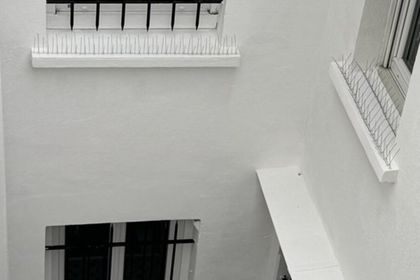 Solutions <b>anti-volatiles</b> en hauteur pour protéger vos bâtiments