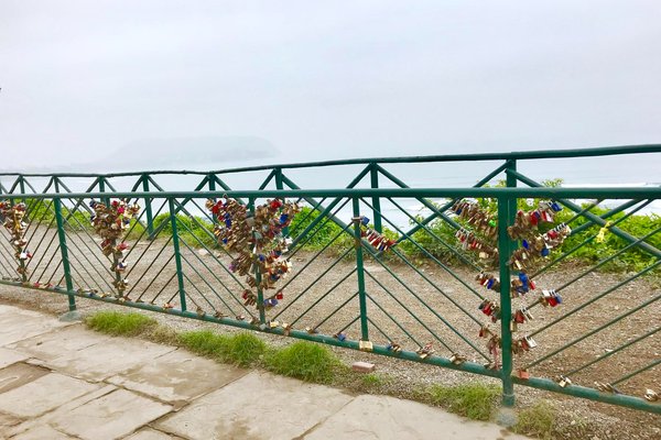 Pose clôture panneaux rigides à Reims  img