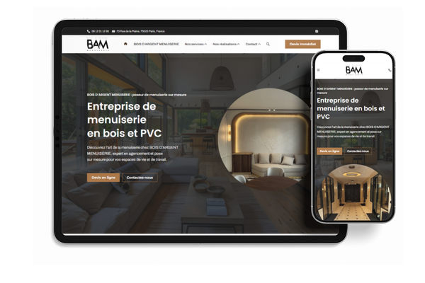 <b>Site web</b> responsive