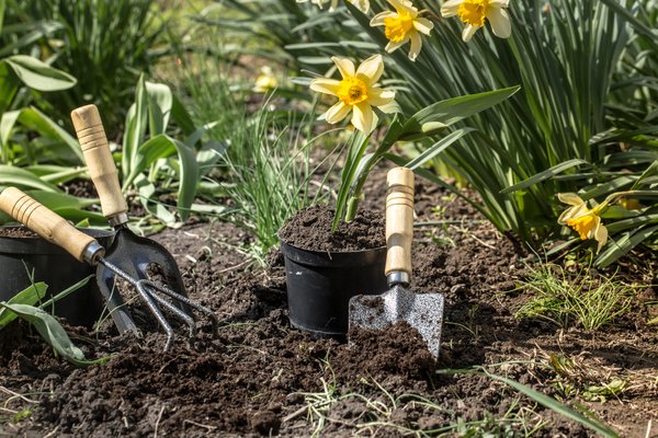 Confiez nous votre jardinage à domicile à Reims et ses environs img