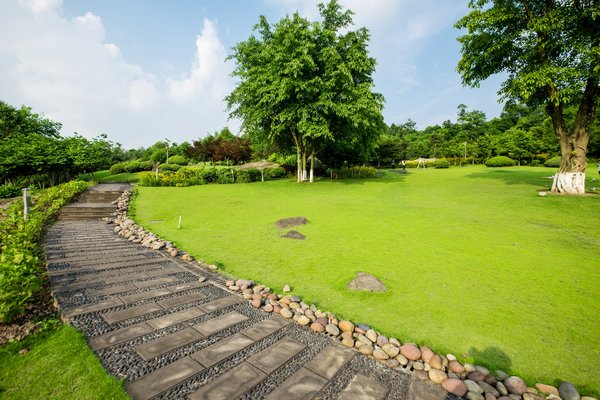 Aménagement jardin extérieur à Reims : jardinage & massif végétal