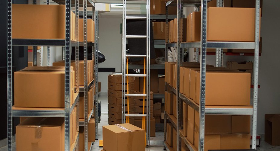 Les activités professionnelles et ludiques