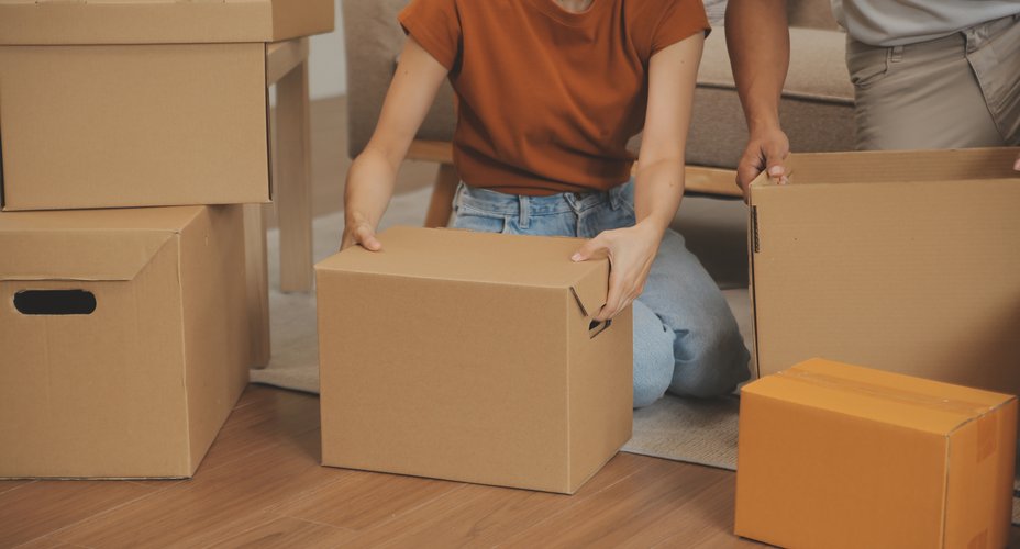 Phase de planification