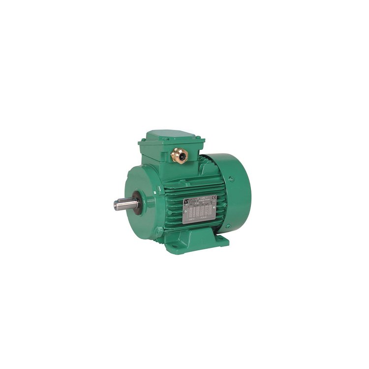 Moteur Leroy-Somer LS112M - 4 kW – IE2 – IP55