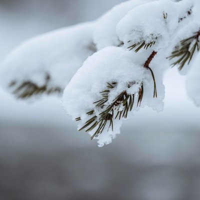 call to action image