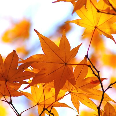 call to action image