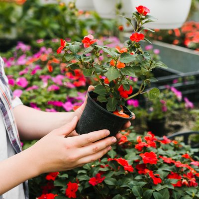 call to action image