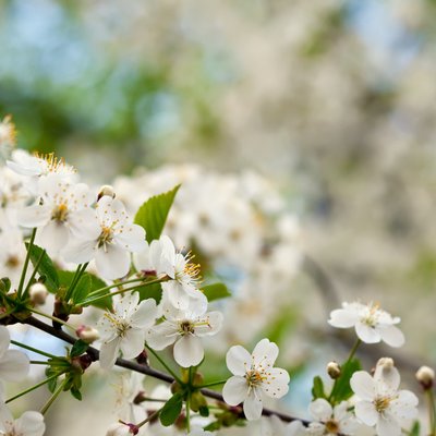 call to action image