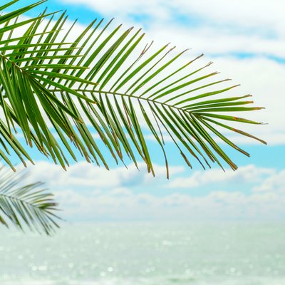 call to action image