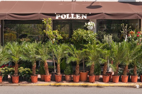 Une passion florale depuis <b>2008</b>