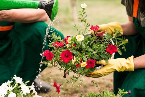  <b>Jardinage</b> et aménagement végétal