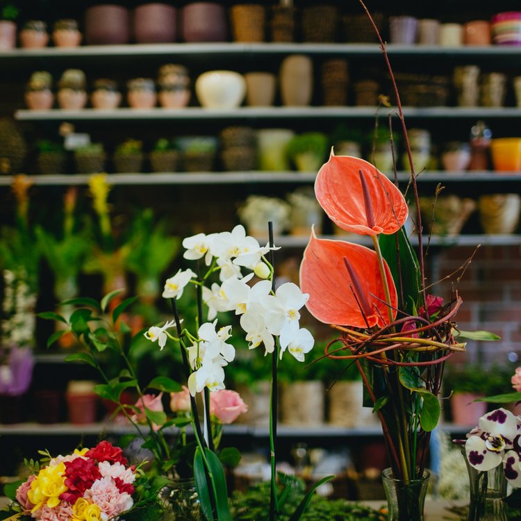 Bouquets & compositions florales