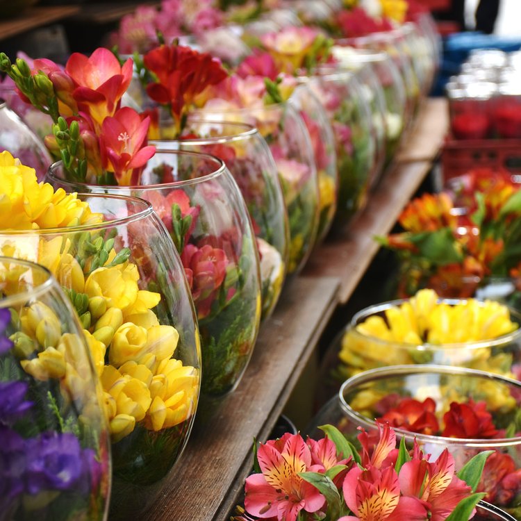 Fleurs pour toutes les occasions de la vie