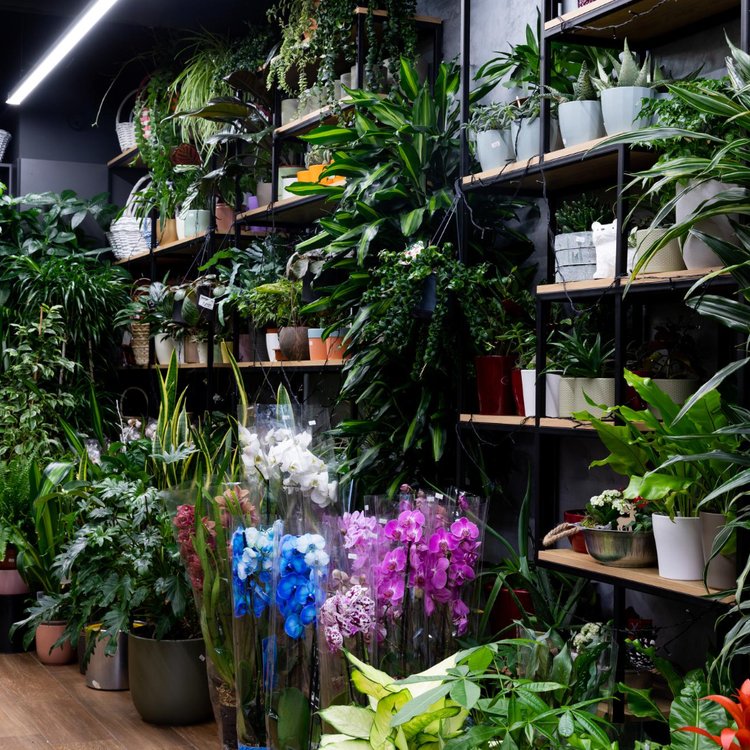 Pollen – Boutique de fleurs