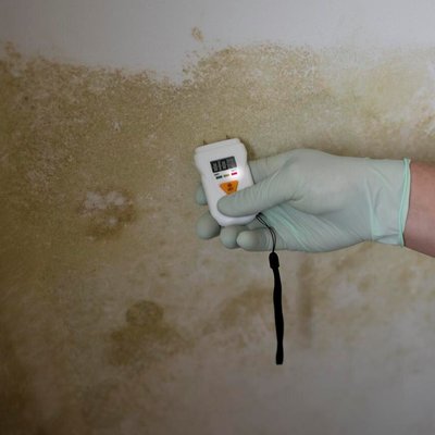 Diagnostiqueurs humidité