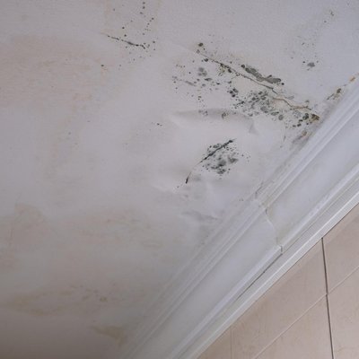 Travaux de plâtrerie