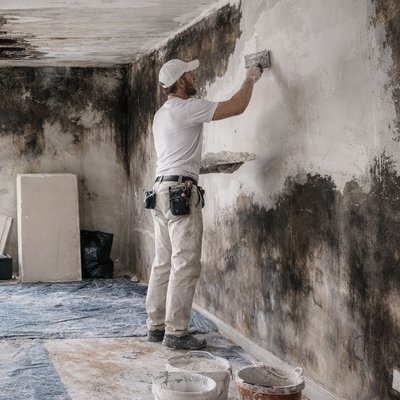 Rénovation des murs